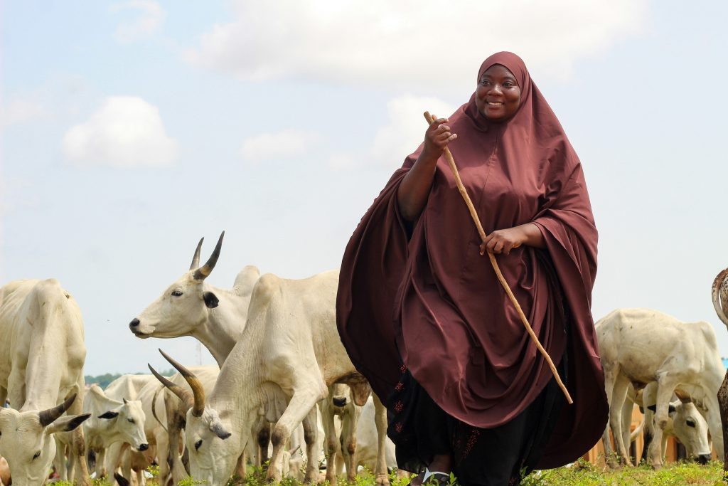There are many business opportunities in milk production and processing.
